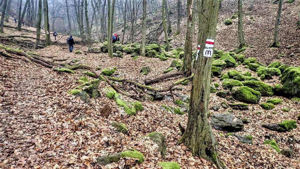 A Kis-Farkas-kői sziklák és a Juháy barlanglakás