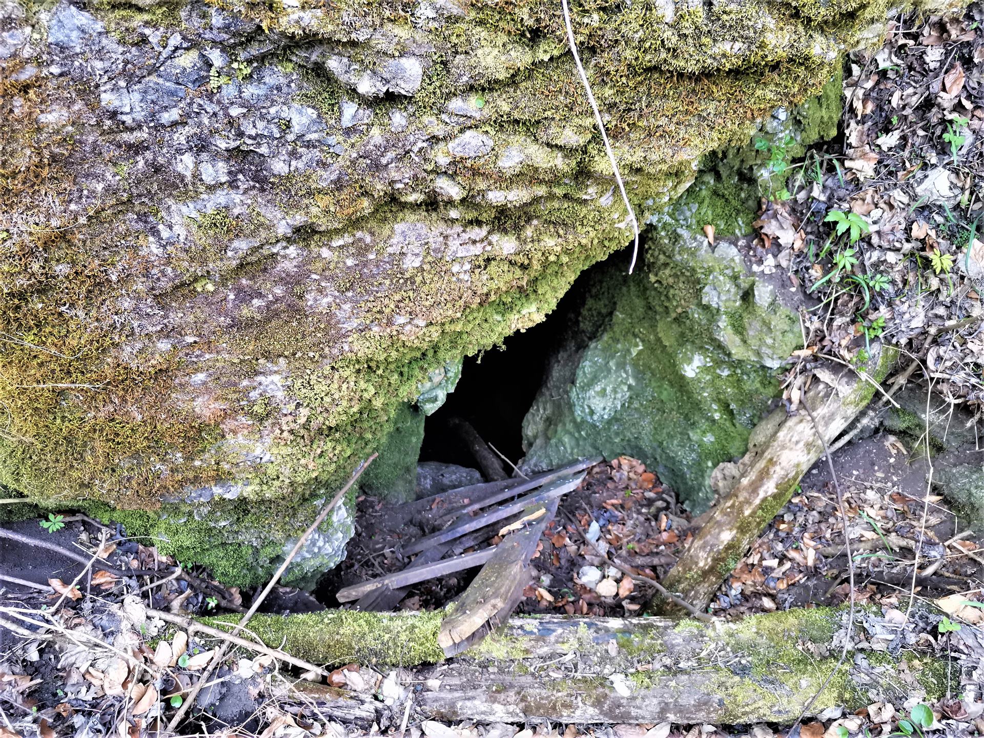 A barlang vadregényes, de nem túl bizalomgerjesztő bejárata