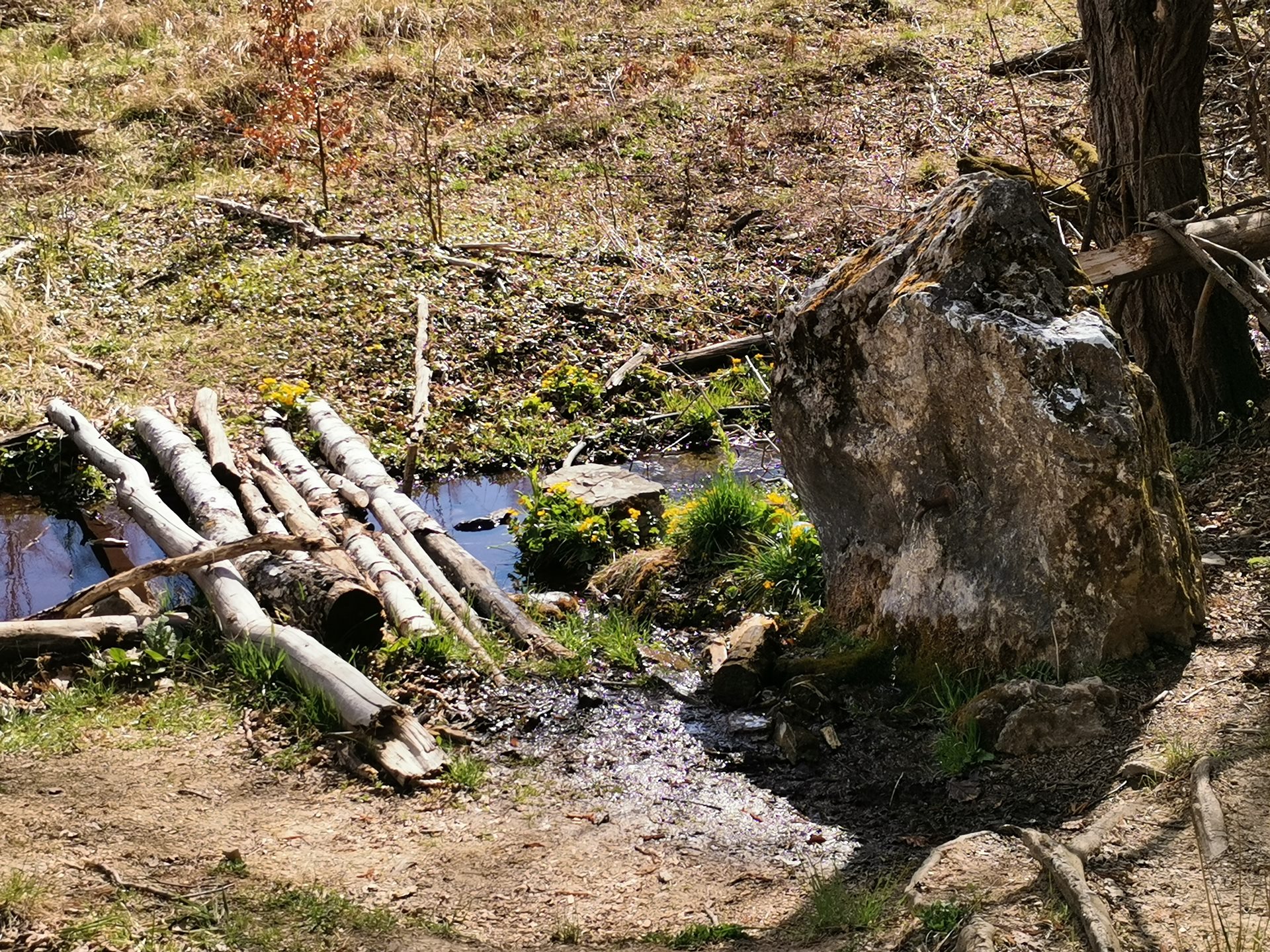 Túra a Létrástetőről a Sebesvízhez-5