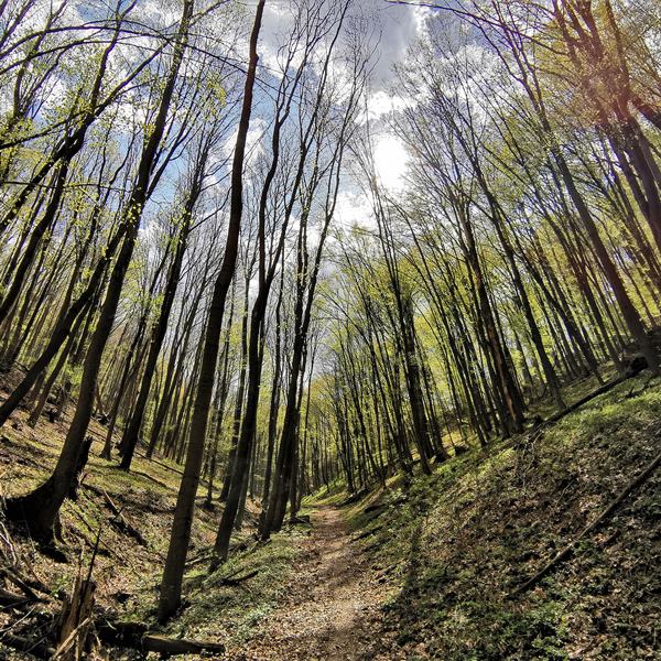 Túra a Létrástetőről a Sebesvízhez