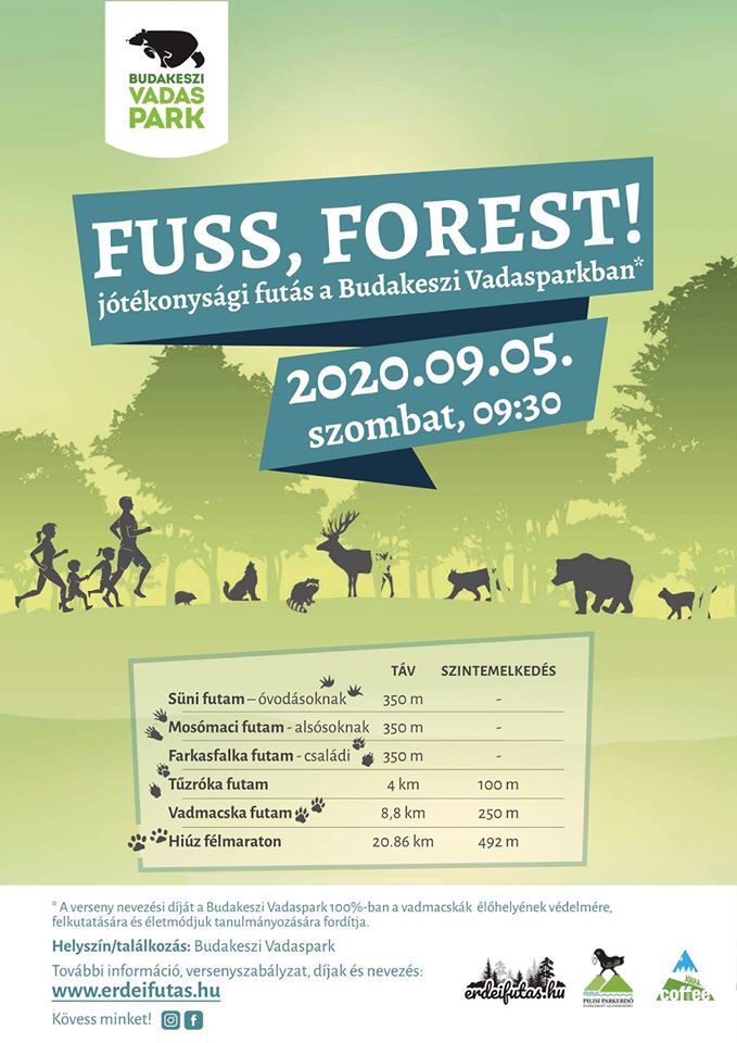 Fuss, Forest!-1