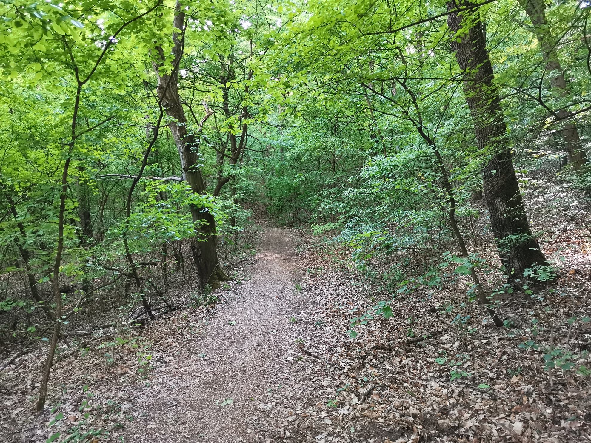 Túra Miskolc-Tapolcáról a Leányvárhoz-5