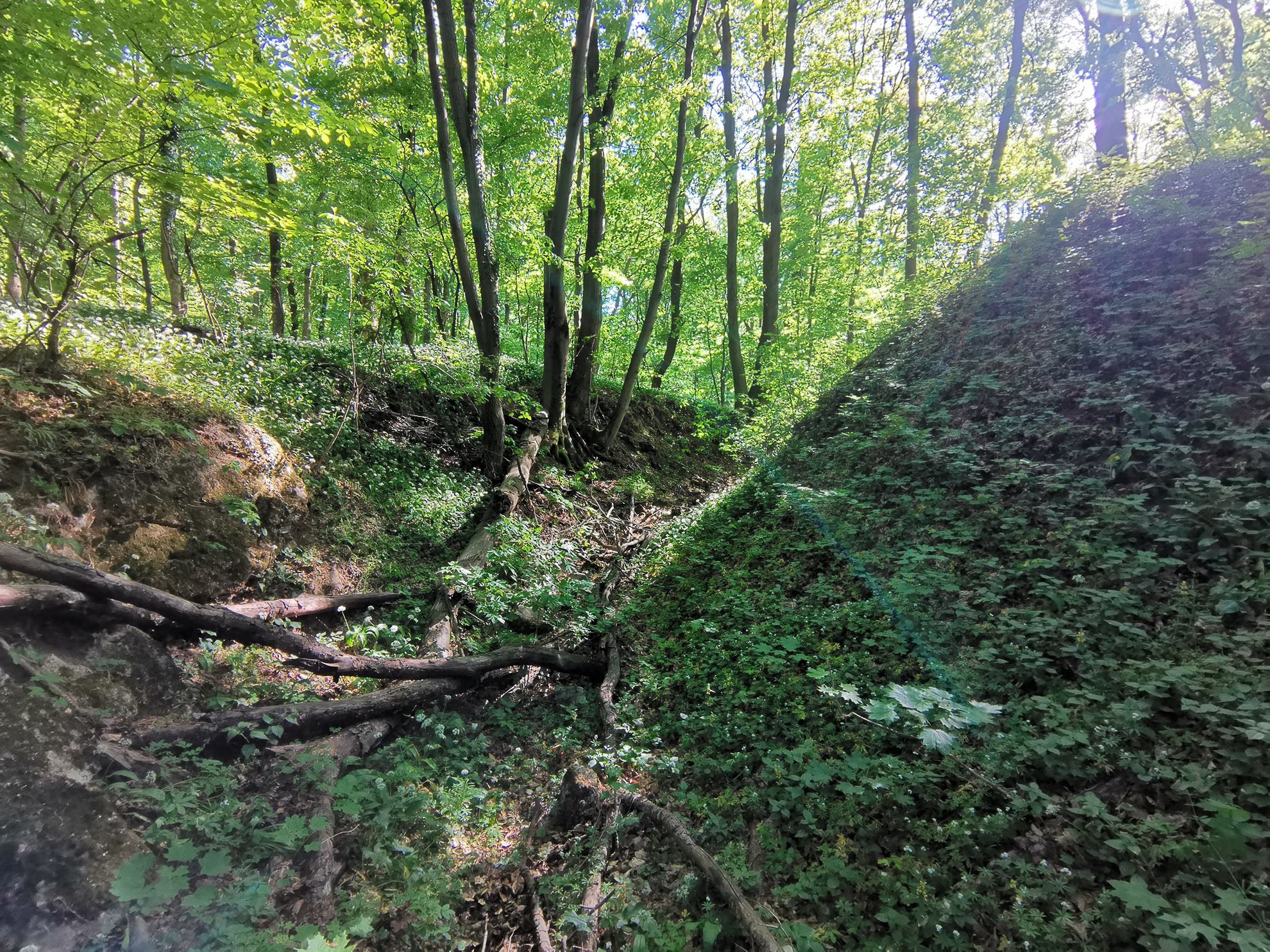 Túra Miskolc-Tapolcáról a Leányvárhoz-6