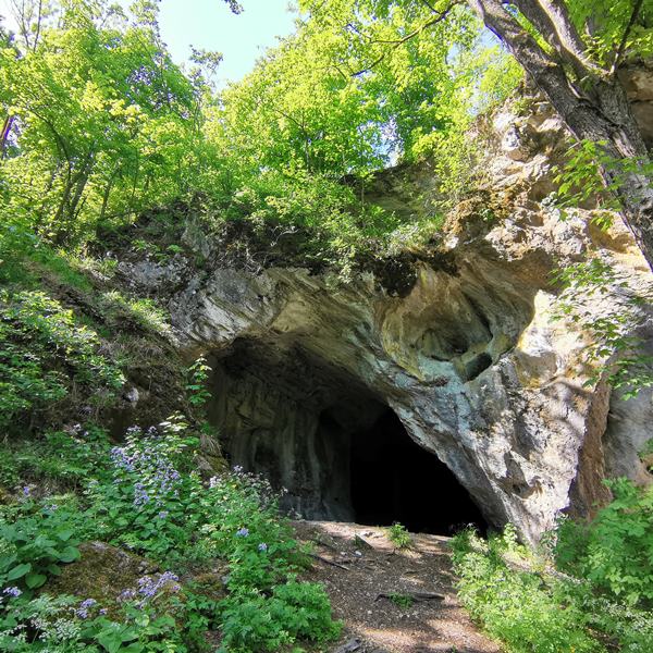 Túra a Hór-völgyében és a Pénzpatak víznyelő barlangjához
