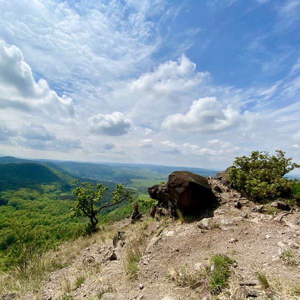 Országos Kéktúra 23. Szarvaskő  Putnok  