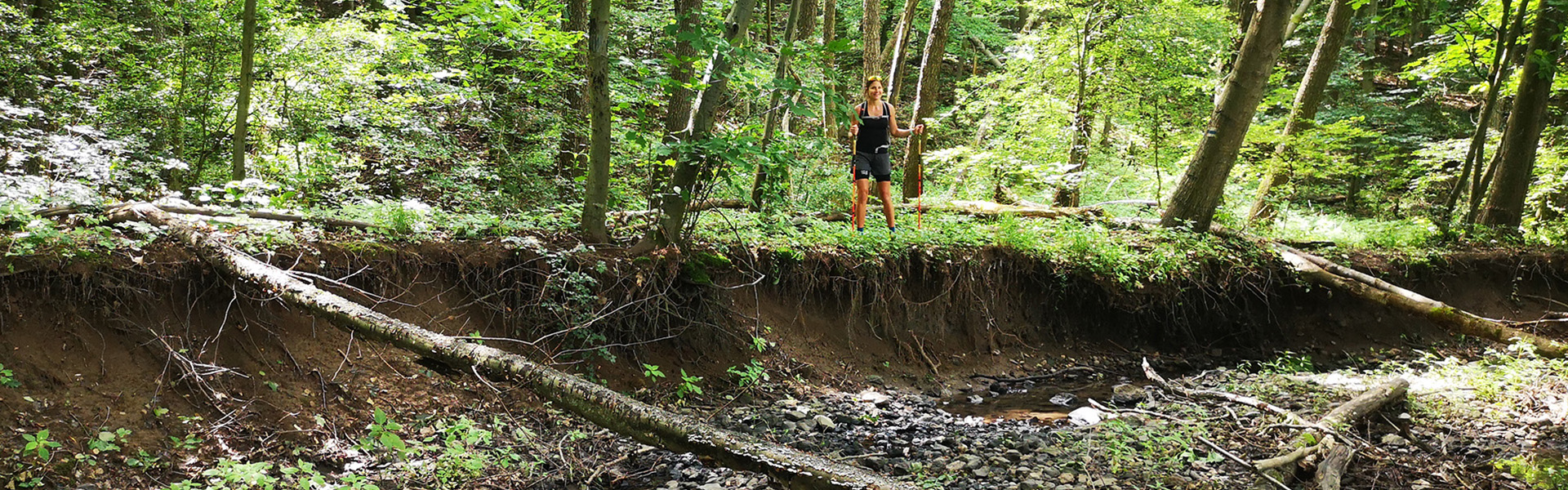 Országos Kéktúra 26. Boldogkőváralja  Nagy-nyugodó Túra