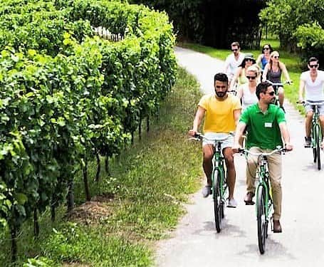 Kerékpáros gasztrotúra a Tokaji Borvidékenimg