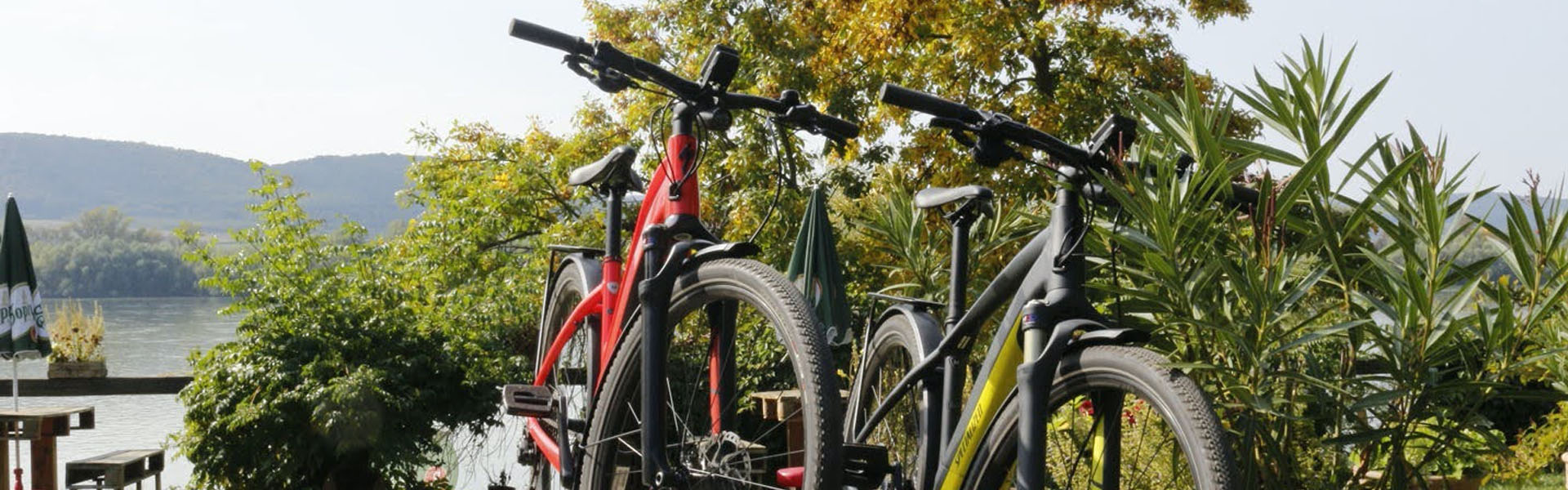 Szerintünk az ebike...