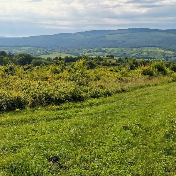 Felsőtárkányból a Várhegyen át Noszvajra