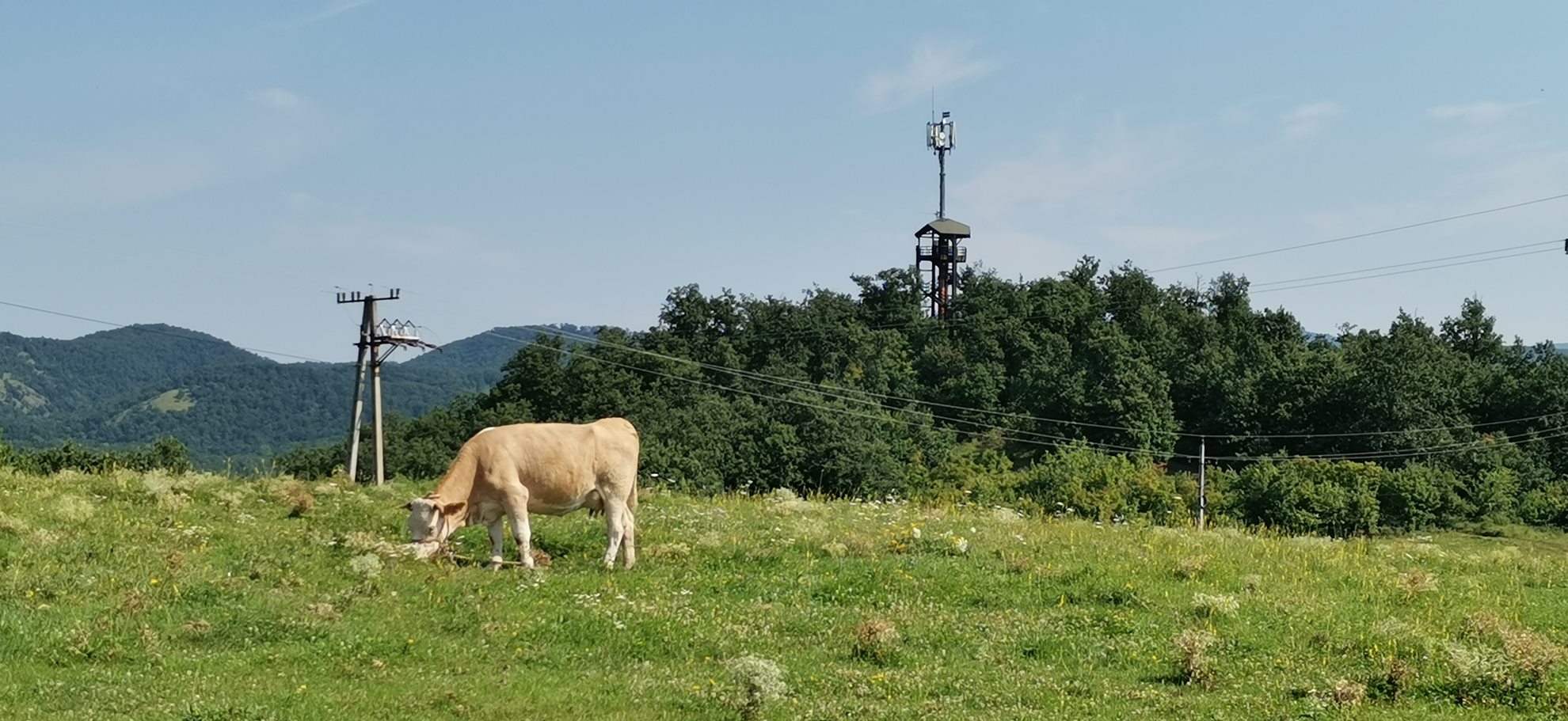 Szarvaskői kalandok-9