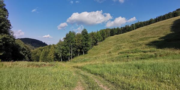 Vasolvasztók nyomában Ómassáról Bánkútra