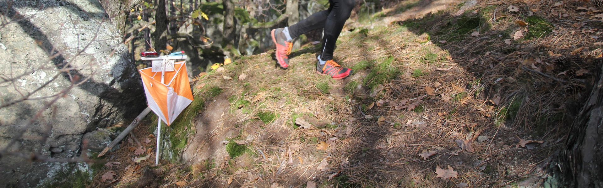 Népszerű turista-célpontokon nyíltak új tájfutópályák Hír