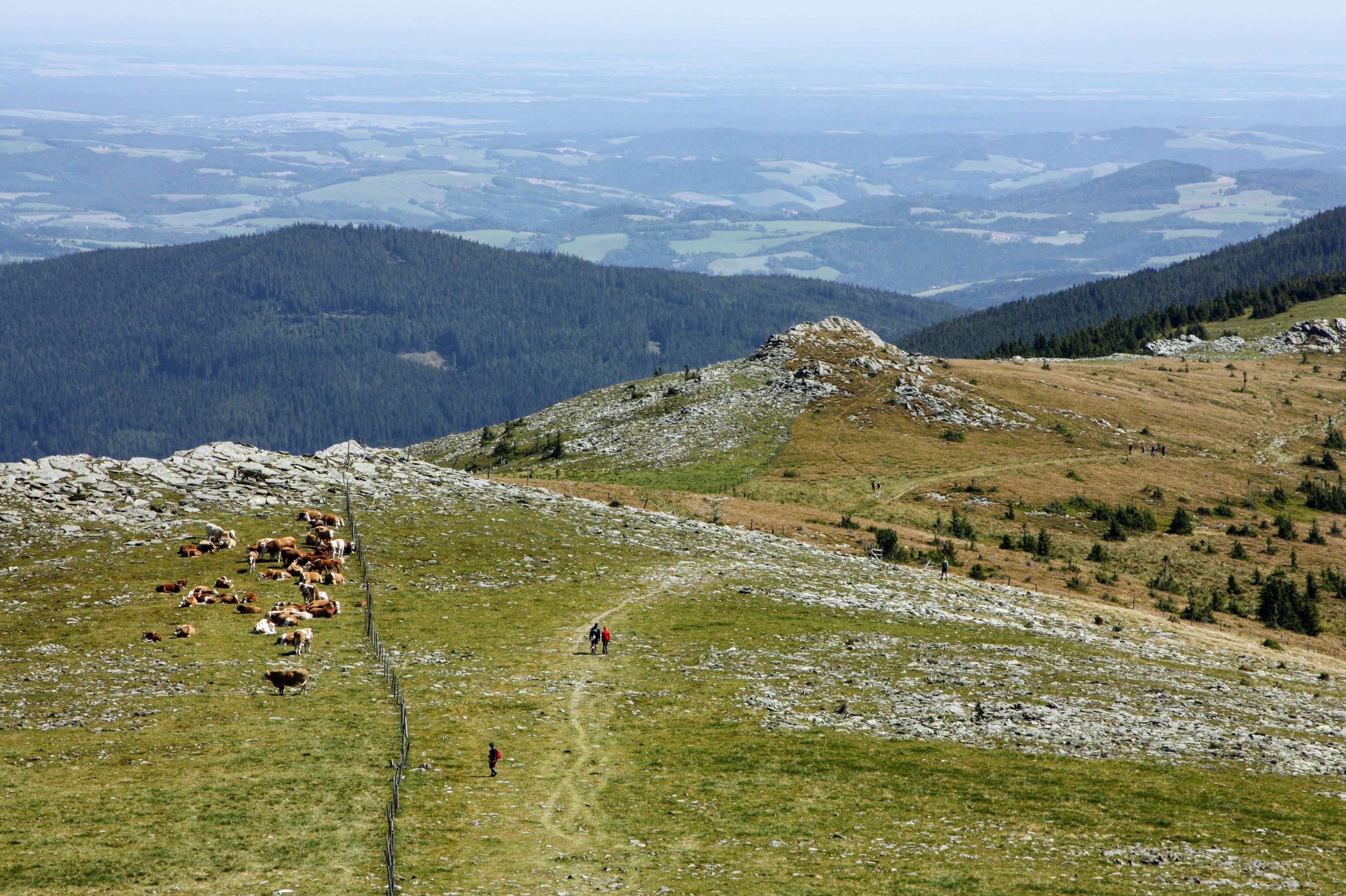 Alpannonia túraút 3. szakasz, Feistritz-nyereg - Mönichkirchen-1