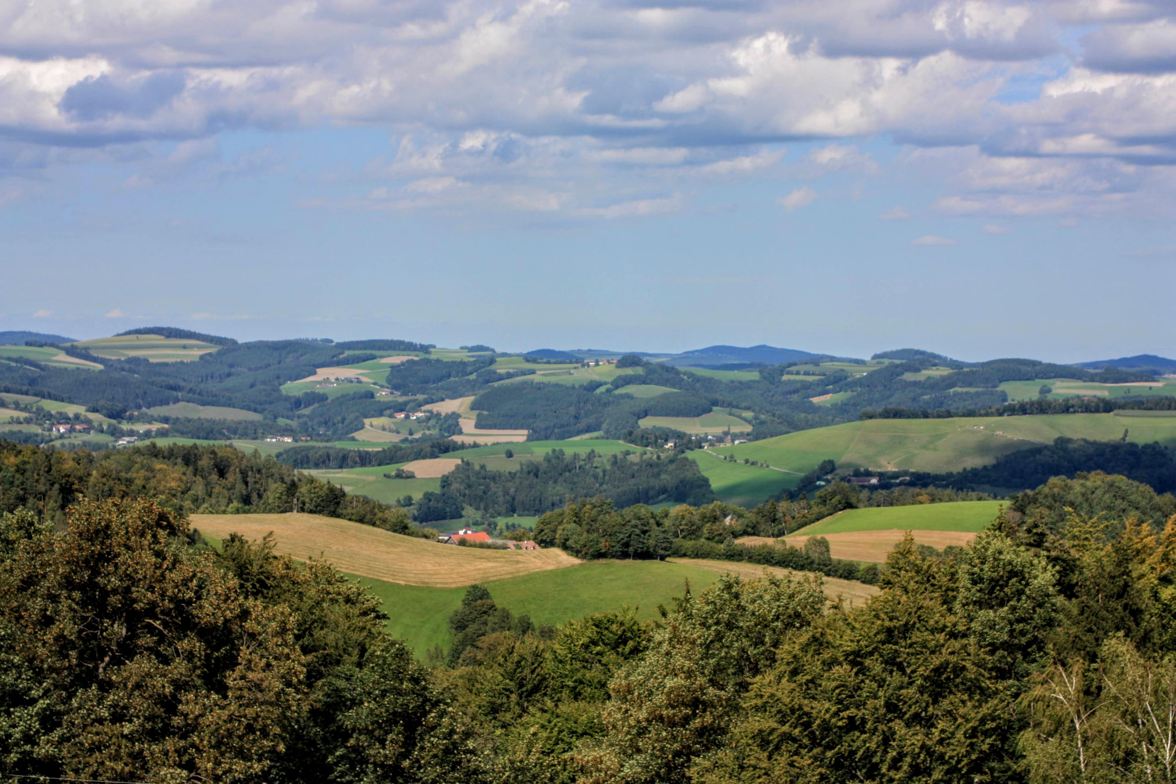 Alpannonia túraút 4. szakasz, Mönichkirchen-Hochneukirchen-5