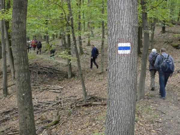 Hagyományteremtő túrák a Pilisi Parkerdőben. A Kéktúrázás napja október 10.