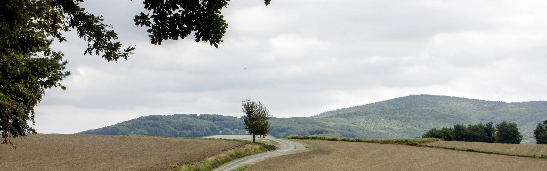 Alpannonia túraút 6. szakasz, Bernstein - Geschreibenstein (Írott-kő) Túra