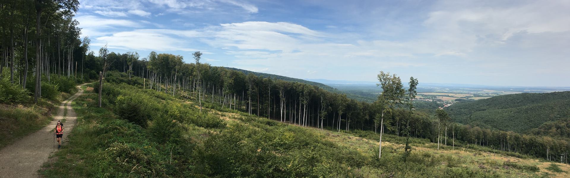 alpannonia túraút 7. szakasz, Geschreibenstein (Írott-kő) - Kőszeg Túra