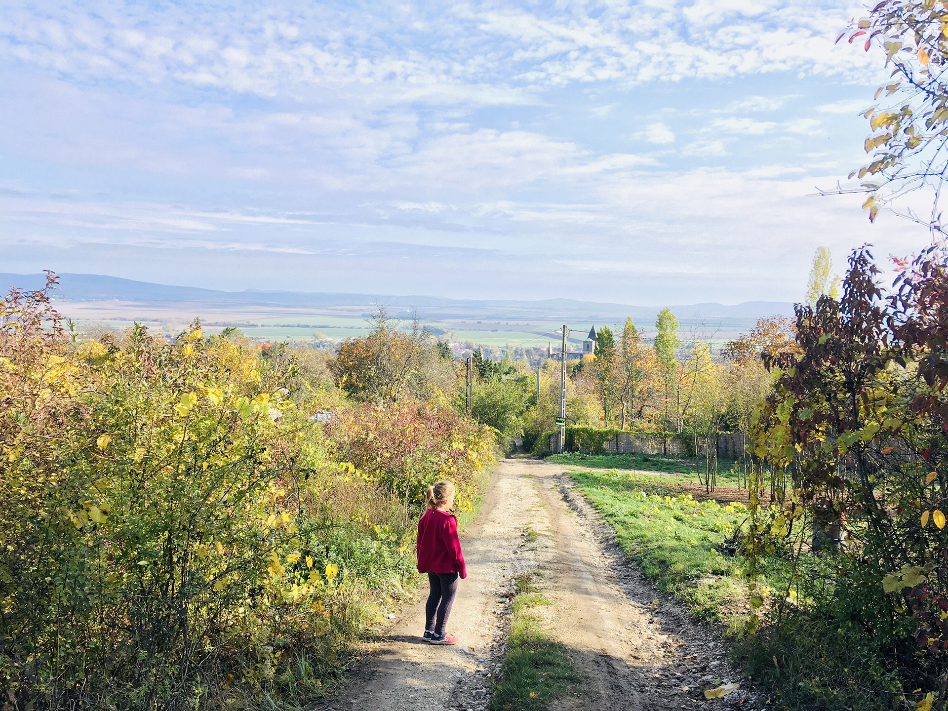 Zsámbéki Romtemplom panorámatúra-24