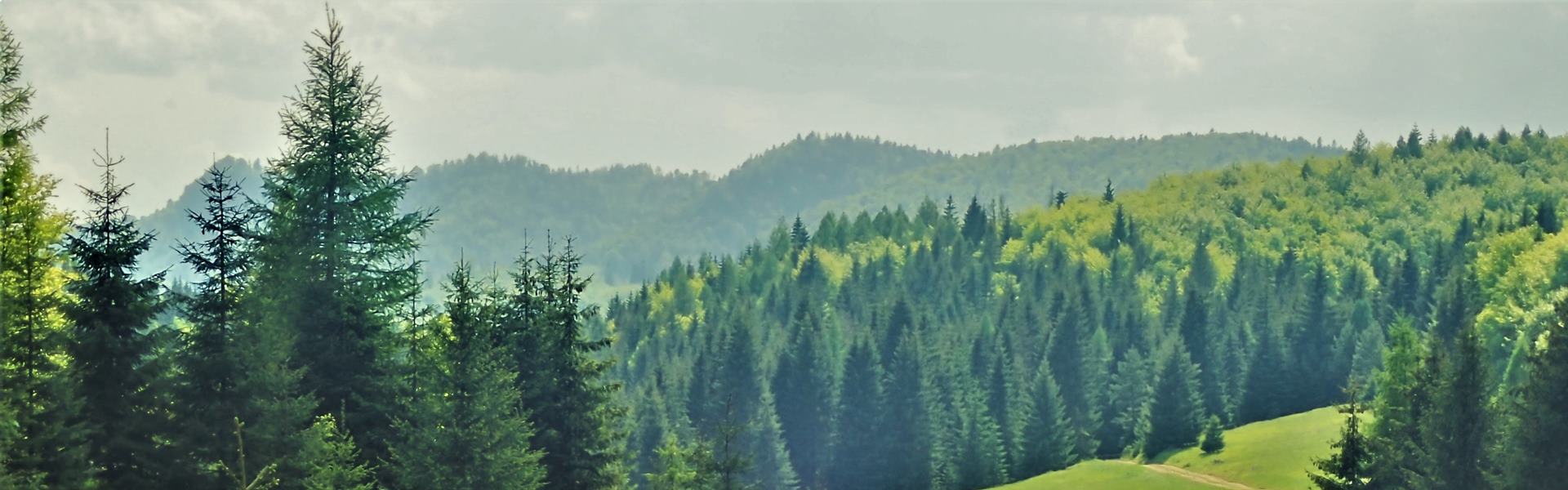 Velky Sokol - Nagy-Sólyom szurdok túra Túra