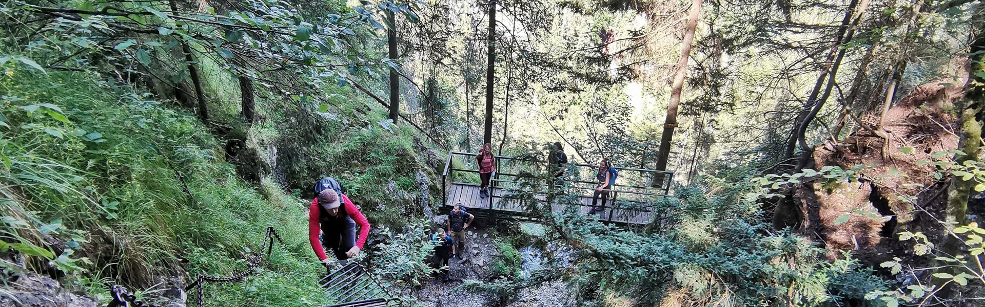 Solymos-völgy  túra (Sokolia dolina) Túra