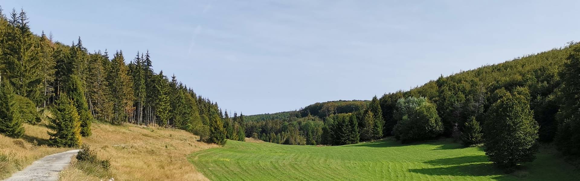 Hollóstetőről a Róka-kúthoz és Jávorkútra Túra