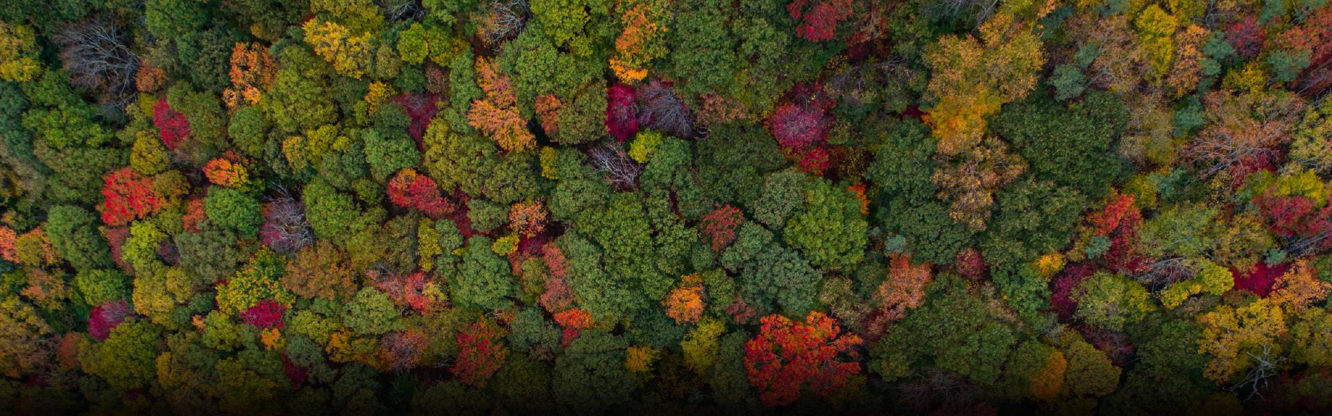 Mountex Black Friday 2020 Hír