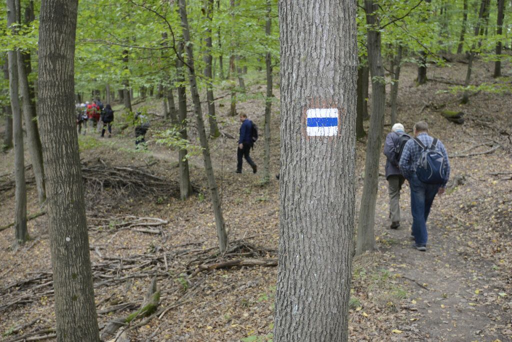 Idén csúcsot döntött a Pilisi Parkerdő látogatottsága-4