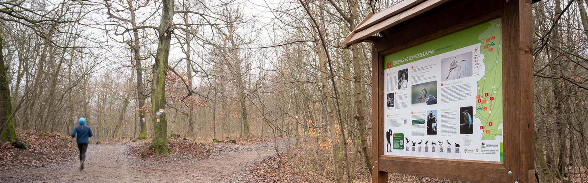 A Fekete István Tanösvény a Pilisi Parkerdő karácsonyi ajándéka Hír