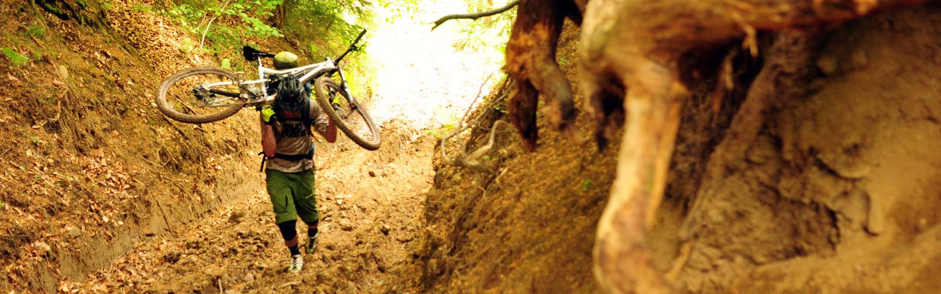 Sporteszközök használata az erdőben, avagy hogyan működjünk együtt a természetvédelemmel?