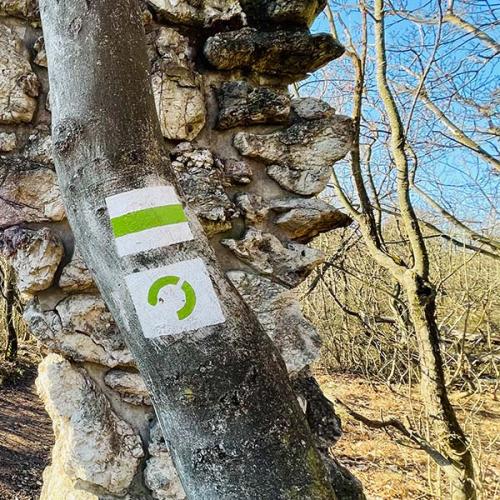 Sporteszközök használata az erdőben, avagy hogyan működjünk együtt a természetvédelemmel?