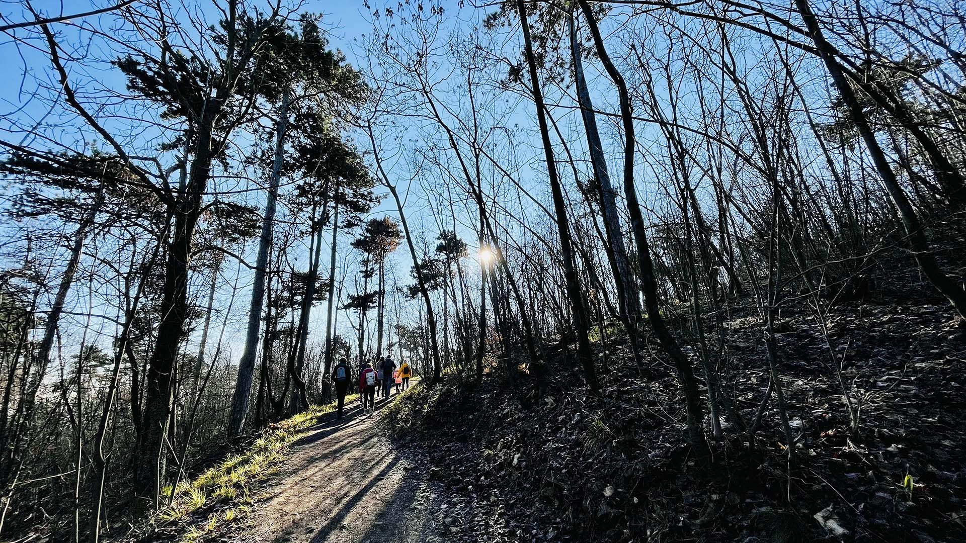 Macis játszóteres, oroszlánsziklás kilátótúra-2