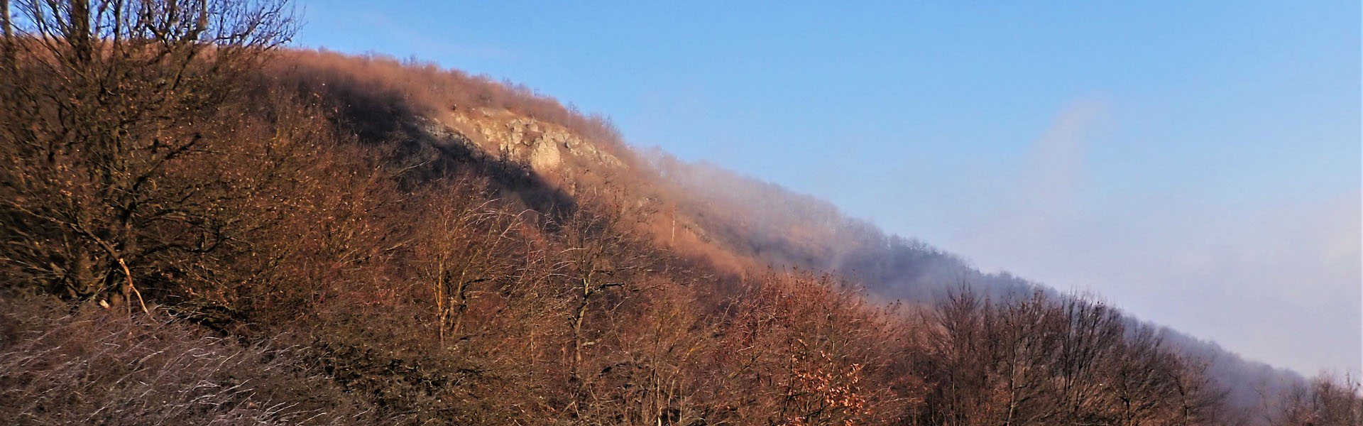 A Diósjenői tanösvény erdőségei és történelmi emlékei Túra