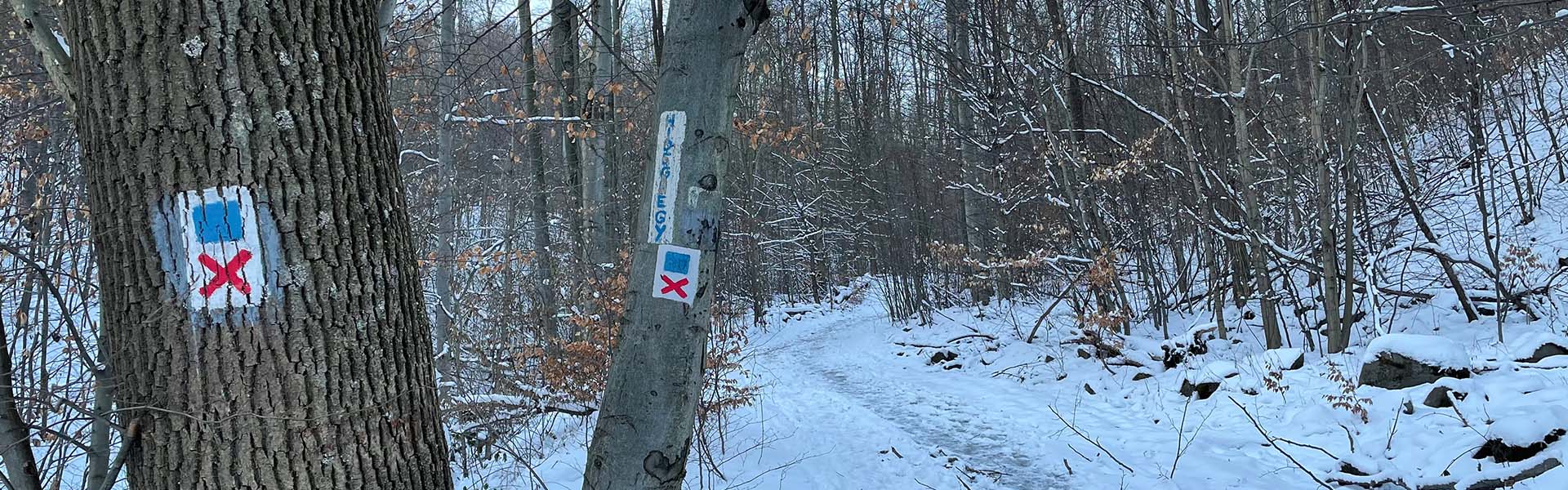 Sítúra a Nagy-Hideg Hegyre (Börzsöny) Hír