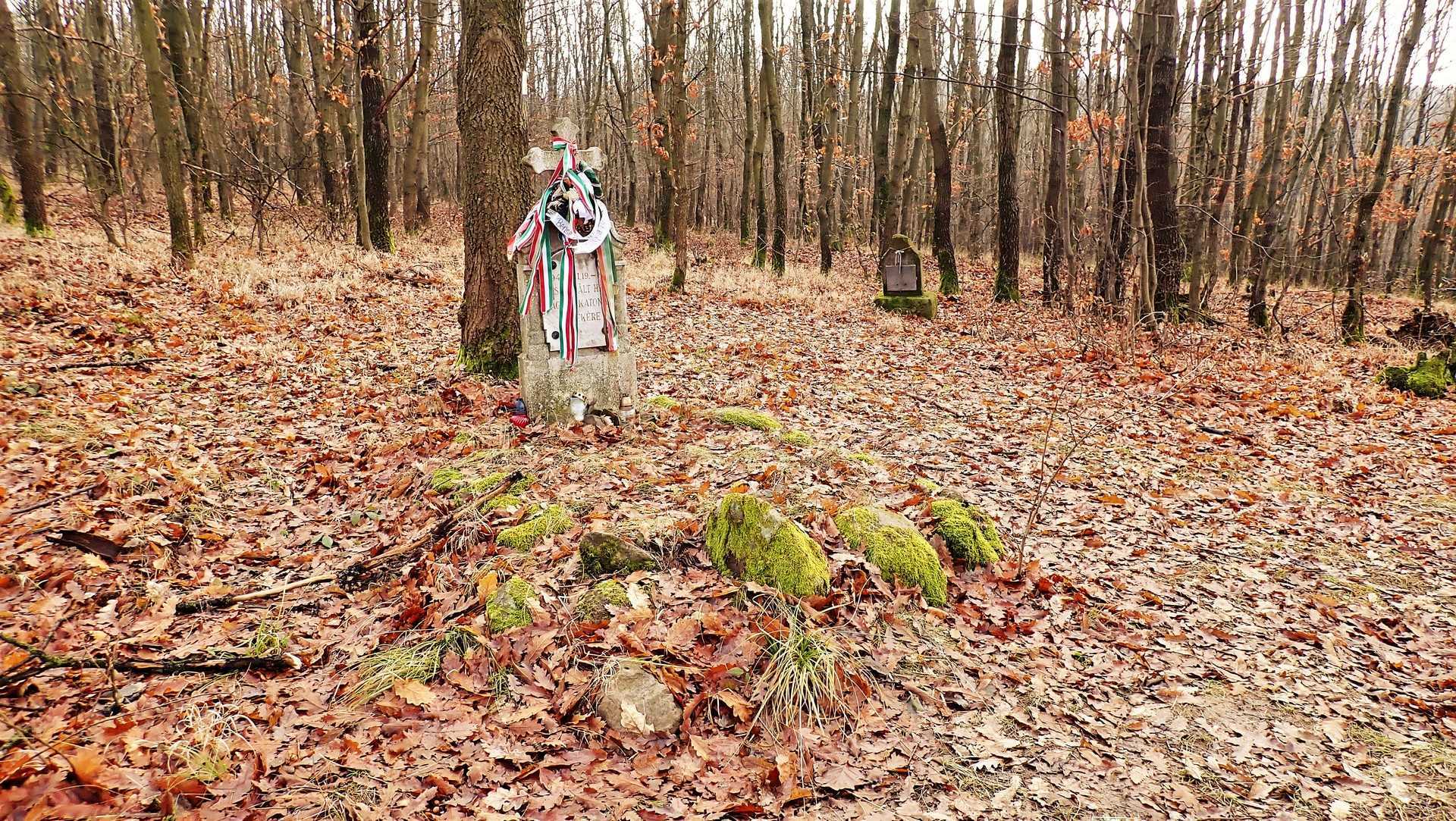 Nagy-völgy túra: A Cicőke és Kalakocs sztori-3