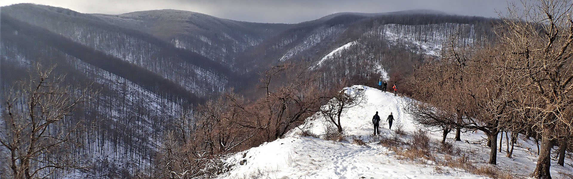 A Nagymána és a Magosfa mellékgerincei túra Túra
