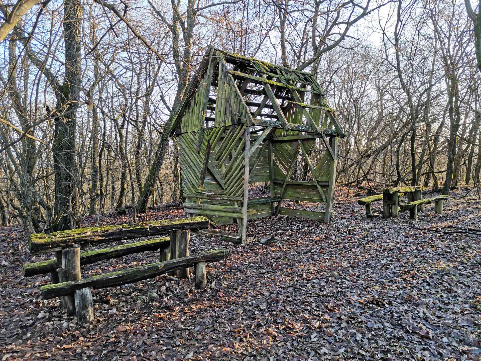 Nem szokványos Dunakanyar panoráma a Borbély-hegyről-7