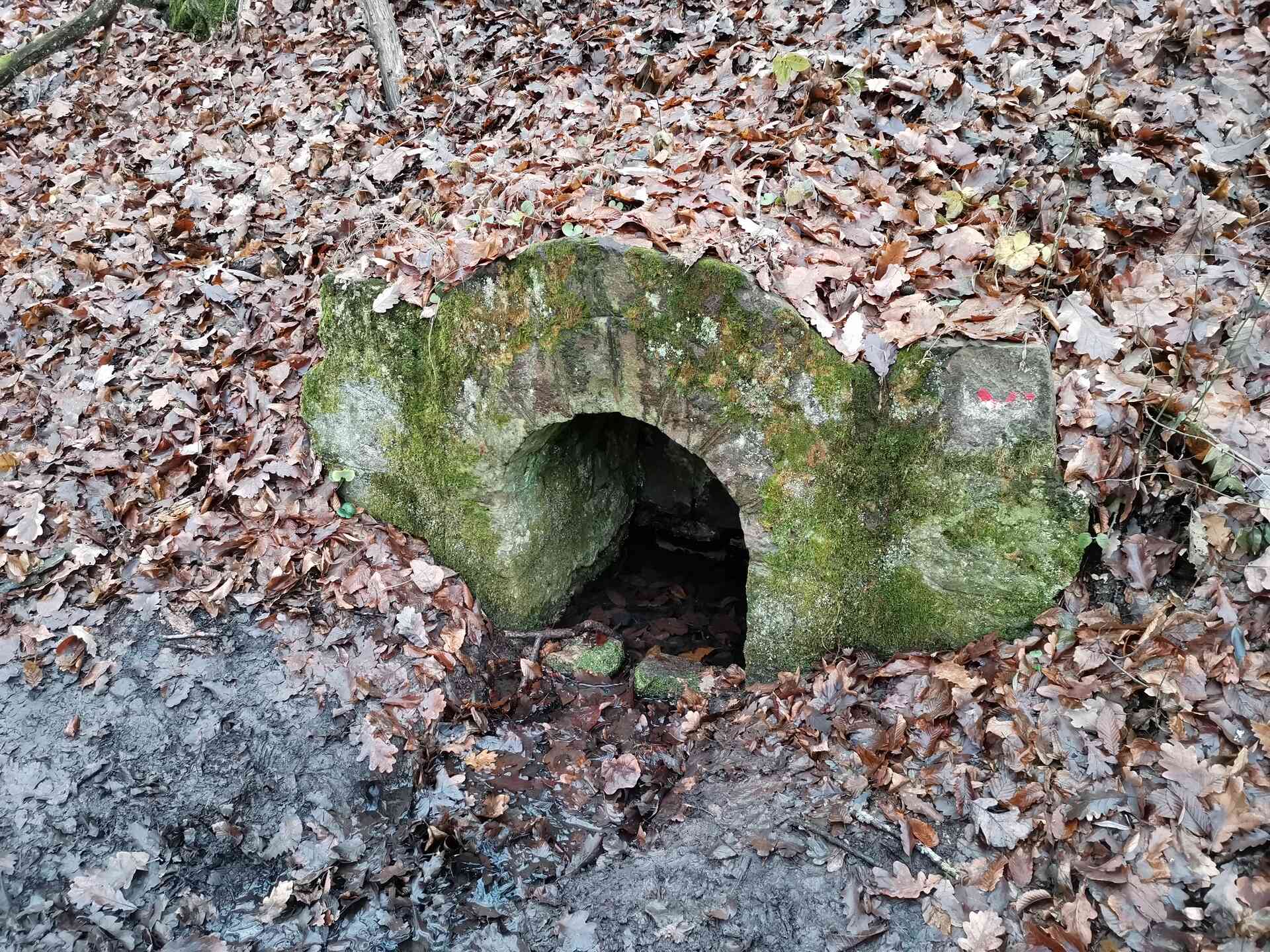 Túrázz Nagymarosról Toronyaljára és a Bibevárhoz-5