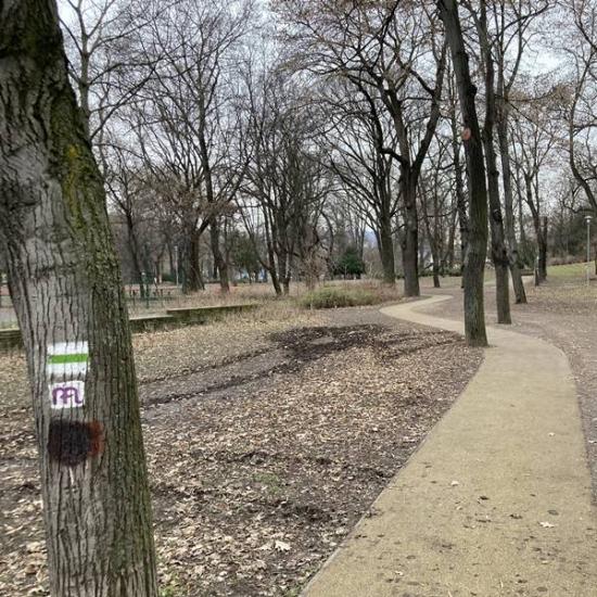 Városmajori futókör