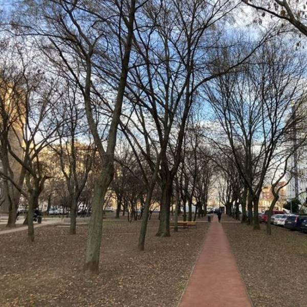 Albertfalvi futókör