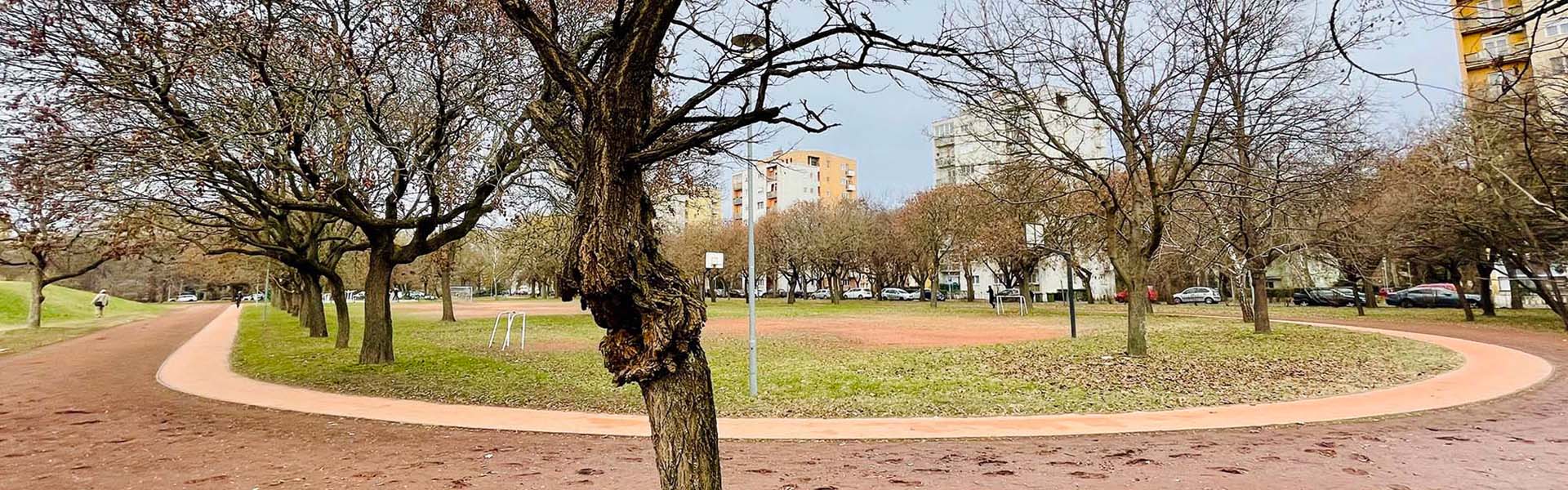 Nyúldomb futókör Túra