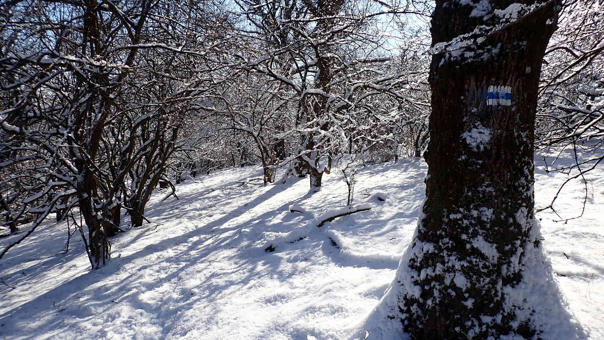 Letkésről a Nagy-Gallára-1