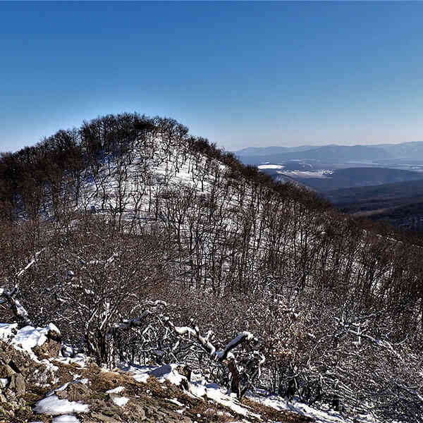 Letkésről a Nagy-Gallára