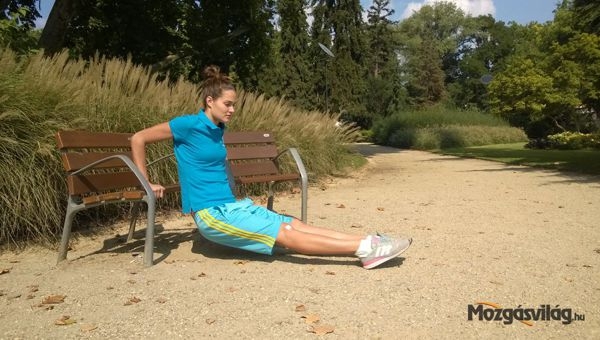 Hátsó fekvőtámasz