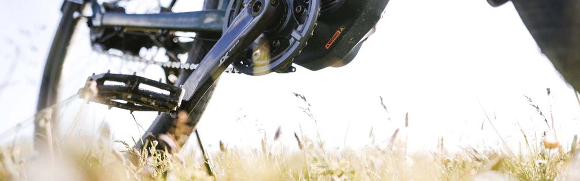 Nagyszabású aktív turisztikai fejlesztések indulnak a Pilisi Parkerdő területén Hír