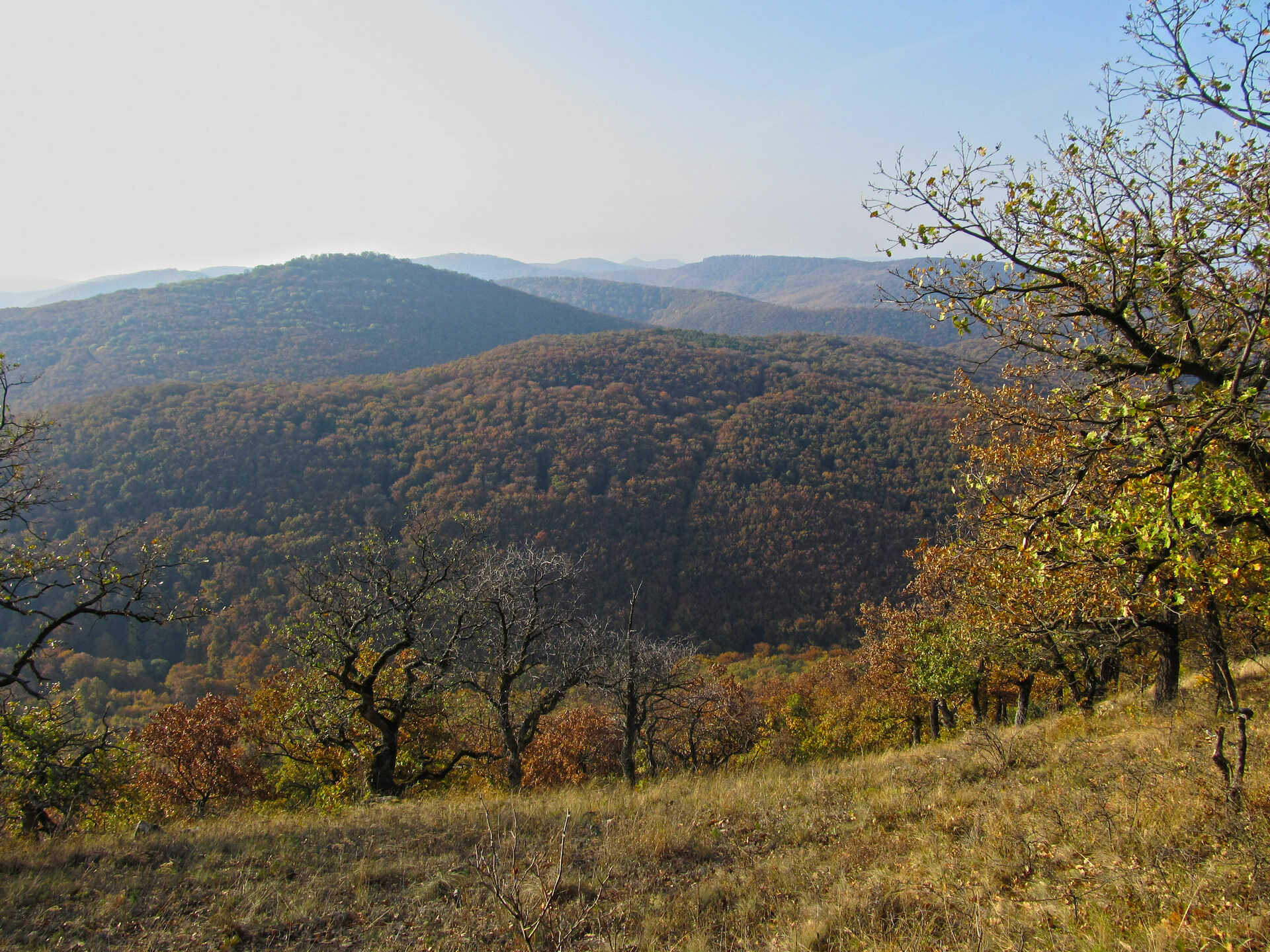 Túrázz a Magyar-hegyre, ha szereted a keményebb emelkedőket-2