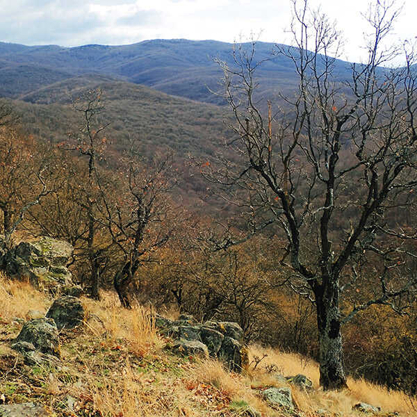 Túrázz a Magyar-hegyre, ha szereted a keményebb emelkedőket