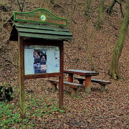 Túra a Honti szakadékba és két titokzatos földvárhoz