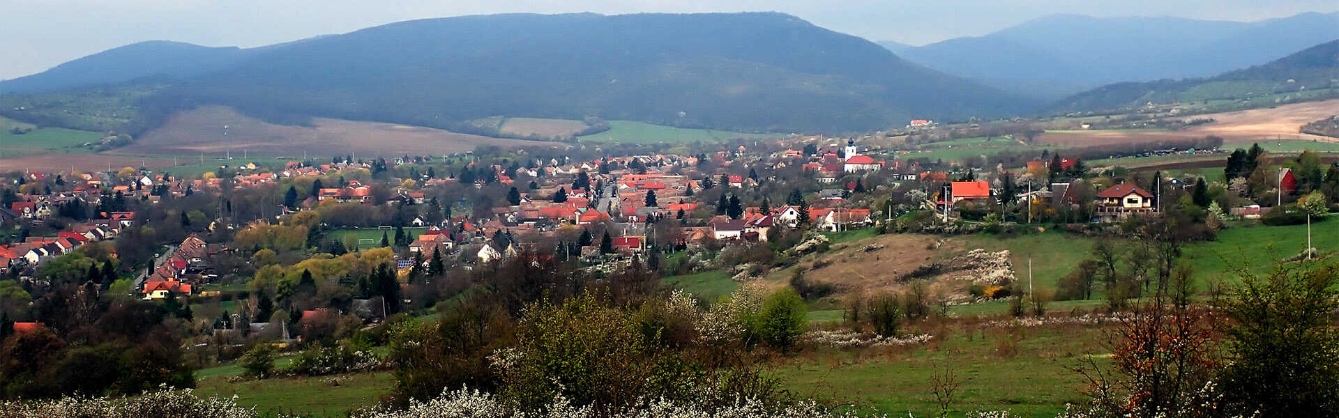 Túra a Szokolya Kóspallag Királyrét Bermuda háromszögbe Túra