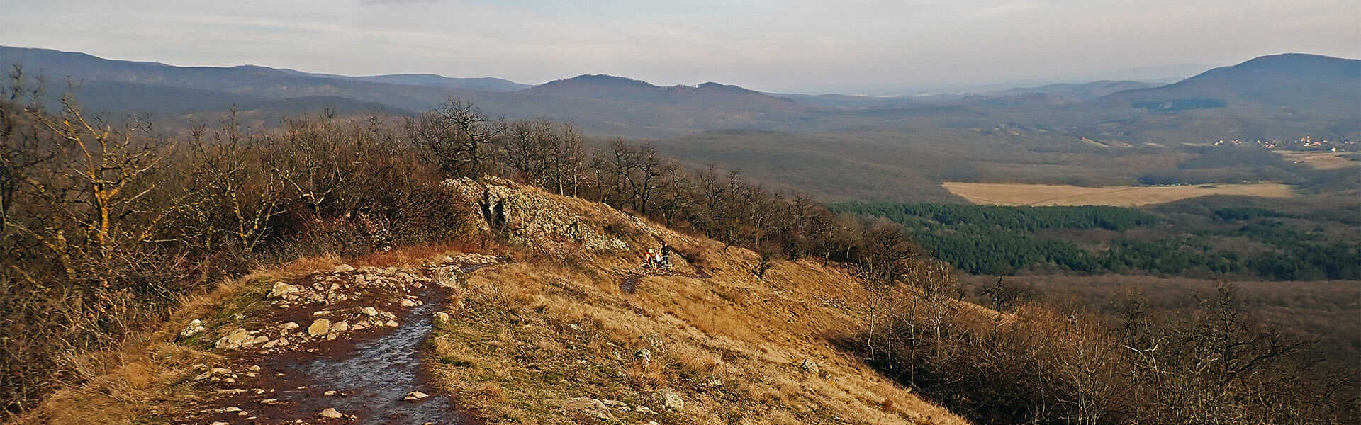 Túrázz a Látó-hegyek gerincén és a Nagy-Koppányon Túra