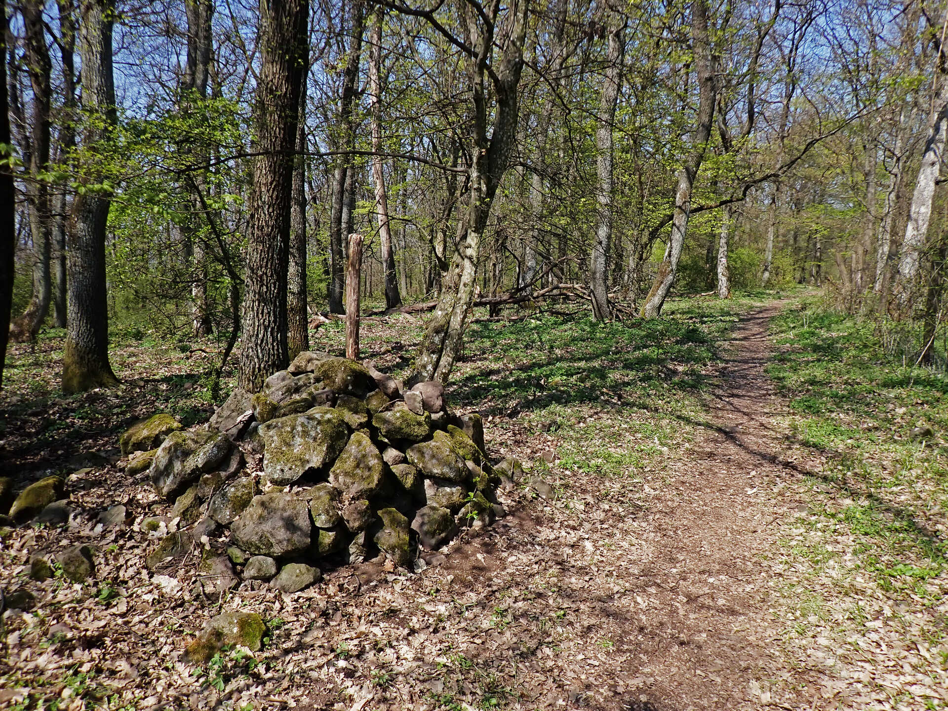 Túra a Gömbölyű-kőre-4